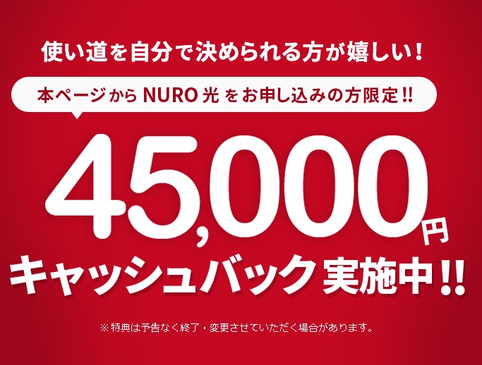 NURO光代理店:公式サイト