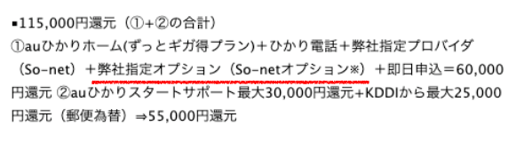 指定オプションの内容画像