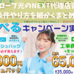 ビッグローブ光の代理店NEXTの評判や受け取り方法や条件
